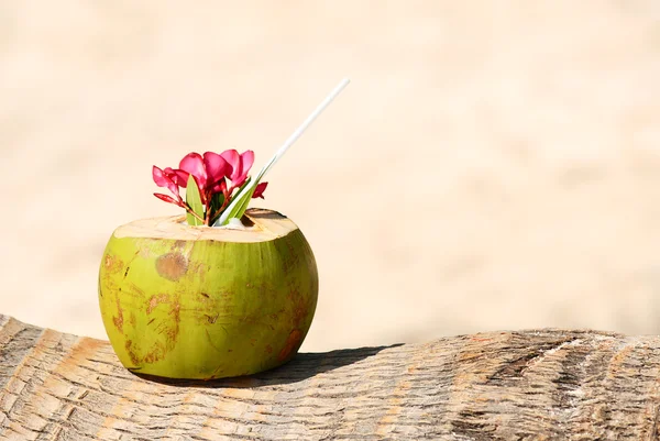 Coconuts on the beach — Stock Photo, Image