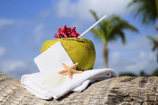 Kokosový koktejl hvězdice tropické karibské pláži občerstvení — Stock fotografie