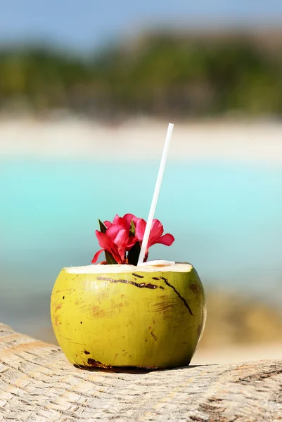 Kokosnötter på stranden — Stockfoto