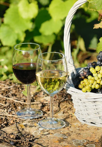 Colheita e vinho — Fotografia de Stock