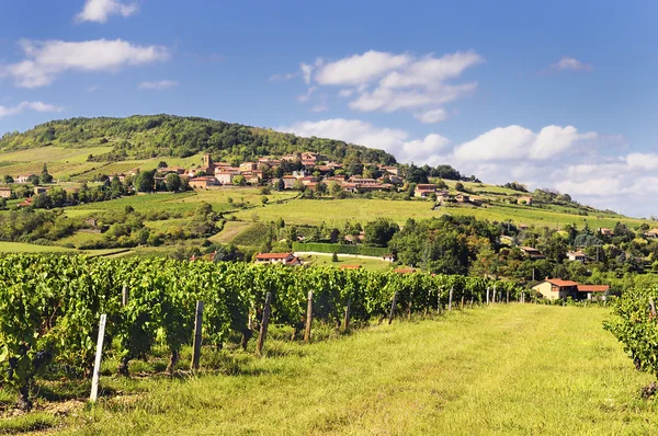 Francia falu és a szőlőültetvény — Stock Fotó
