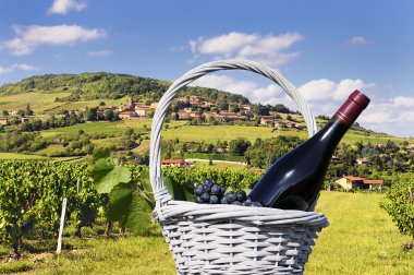 French village and vineyard clipart