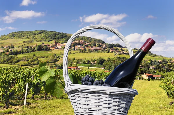 Franska byn och vingård — Stockfoto