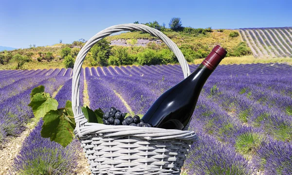 Lavanda y vino tinto en el paisaje —  Fotos de Stock