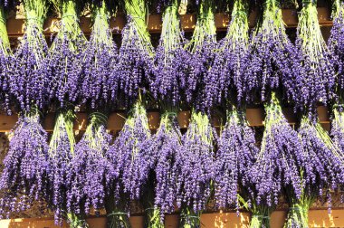 Bundles of lavender clipart