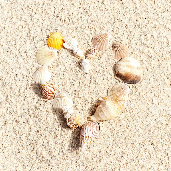 Foto de stock: corazón hecho con conchas en la arena — Foto de Stock