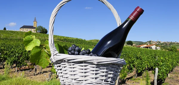法国 vineyads — 图库照片