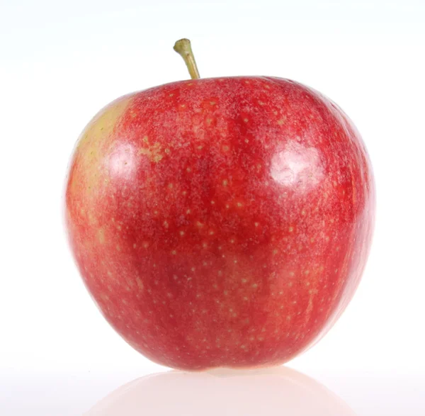 Manzana aislada en un fondo blanco . — Foto de Stock
