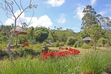 güzel dağlar, ghats