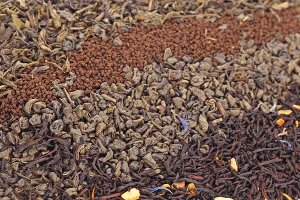 Chá seco — Fotografia de Stock