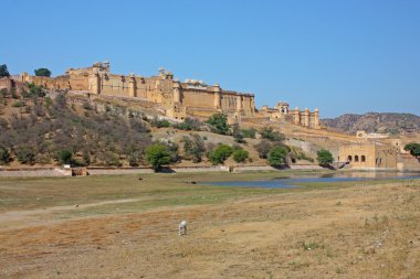 jaipur yakınındaki güzel amber fort