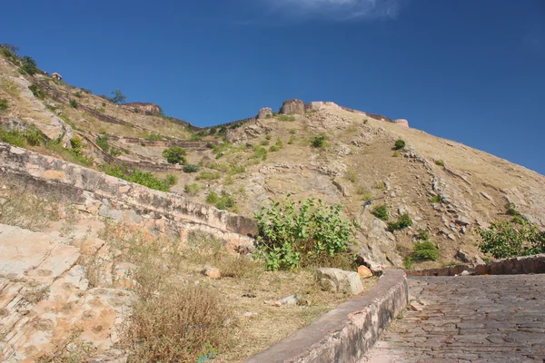 Форт Нахагарх с видом на розовый город — стоковое фото