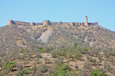 jaipur yakınındaki güzel amber fort