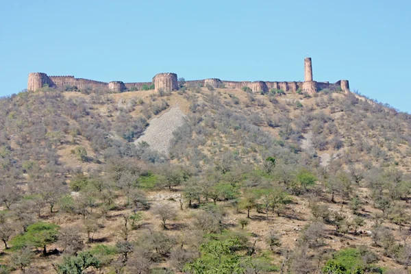 Magnifique Fort Ambre près de Jaipur — Photo