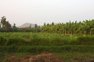 Kerala yılında çekilen fishermans evi