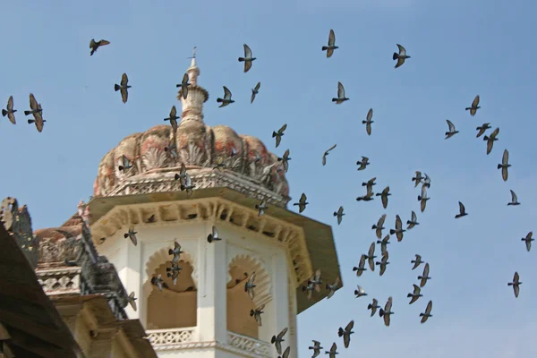 Gator och byggnader i jaipur — Stockfoto