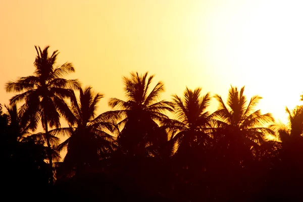 Tropical sunse — Zdjęcie stockowe