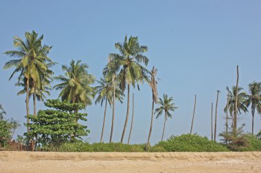 Kerala yılında çekilen fishermans evi