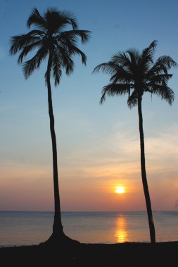 varkala sahilde güzel golden sunset