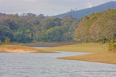 Göl, periyar Milli Parkı,