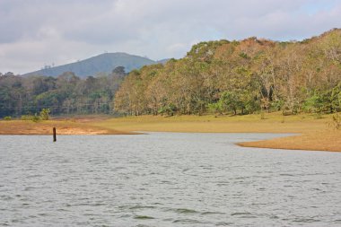 Göl, periyar Milli Parkı,