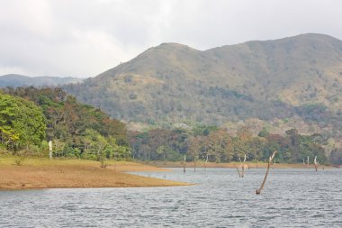 Lake, Periyar National Park, clipart