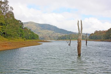 Göl, periyar Milli Parkı,