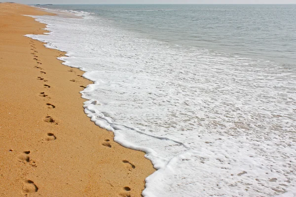 Human footprints leading away — Stock Photo, Image