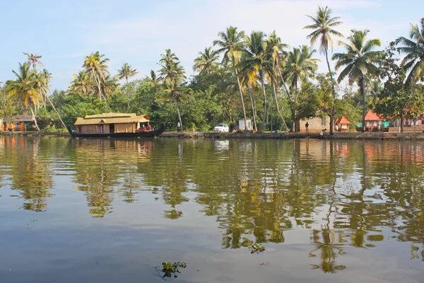 Palmen met reflecties in kerala — Stockfoto