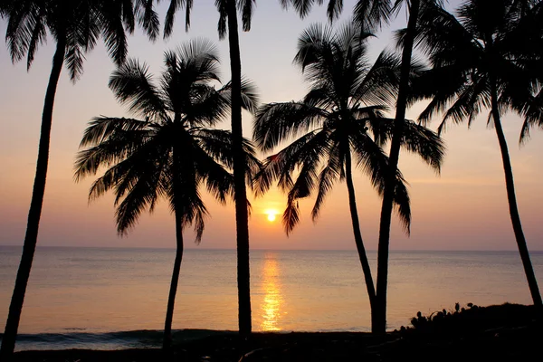 Krásný zlatý západ slunce na pláži varkala — Stock fotografie