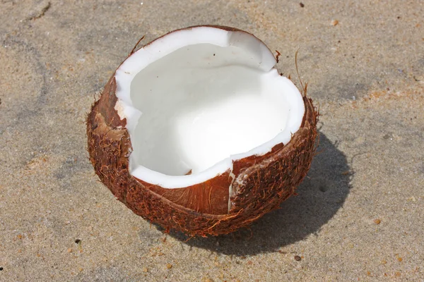 Coco fresco na praia — Fotografia de Stock