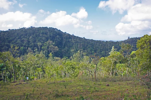 stock image Beautiful mountains in Kerala