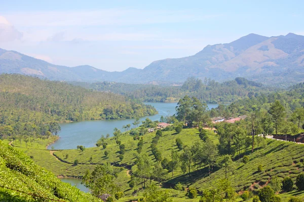 Montañas y plantaciones de té — Foto de Stock