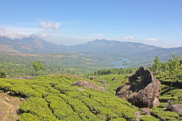 stock image Mountains and tea plantations