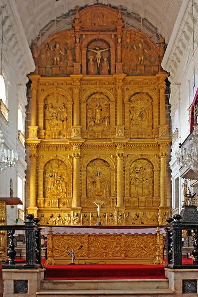 Basilica of Bom Jesus Church — Stock Photo, Image