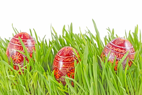 stock image Egg easter in green grass