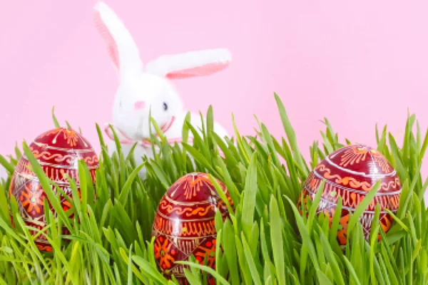 stock image Egg easter in a grass