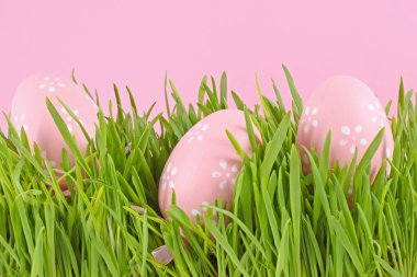 Egg easter in a grass