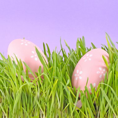 Egg easter in a grass