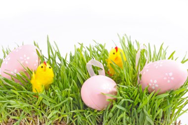 Egg easter in green grass