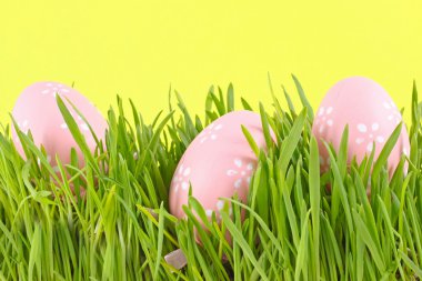 Egg easter in a grass