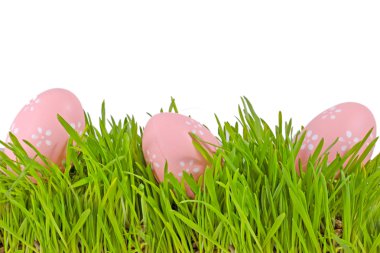 Egg easter in green grass