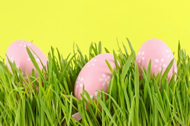 Egg easter in a grass