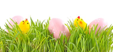 Egg easter in green grass