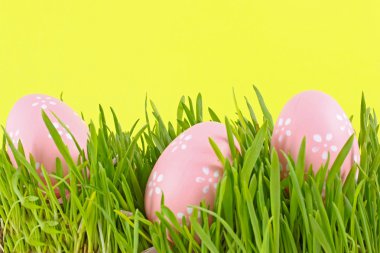 Egg easter in a grass