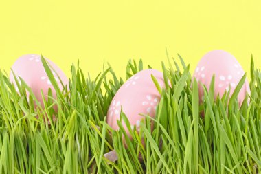 Egg easter in a grass