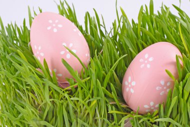 Egg easter in a grass