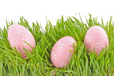 Egg easter in a grass