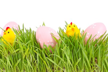 Egg easter in a grass