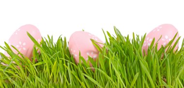 Egg easter in a grass